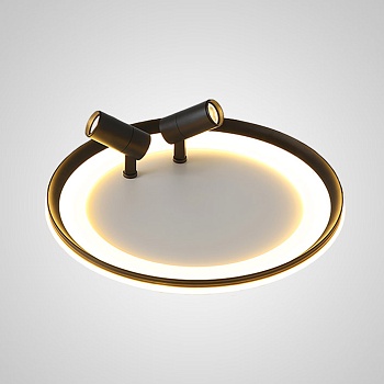 Потолочный светильник GARB B D50 Black by ImperiumLoft