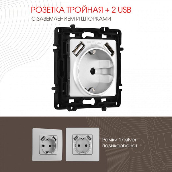 Розетка Arte Milano 217.47-1.silver
