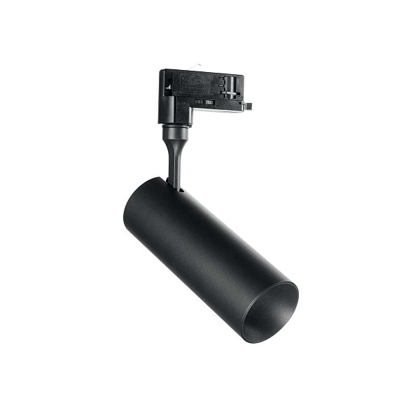 Потолочный светильник Ideal Lux SMILE 15W CRI80 24° 4000K BK 189628
