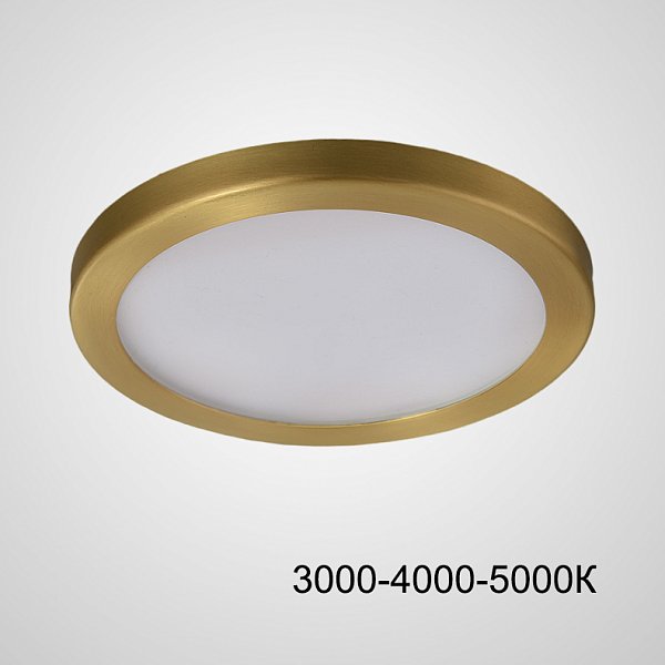 Точечный светодиодный светильник HEIN D10 Brass Трехцветный свет by ImperiumLoft