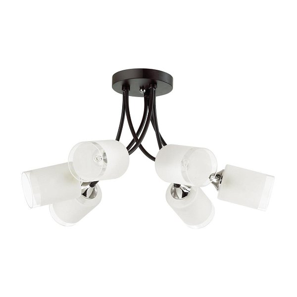Люстра потолочная Lumion 4533/6C