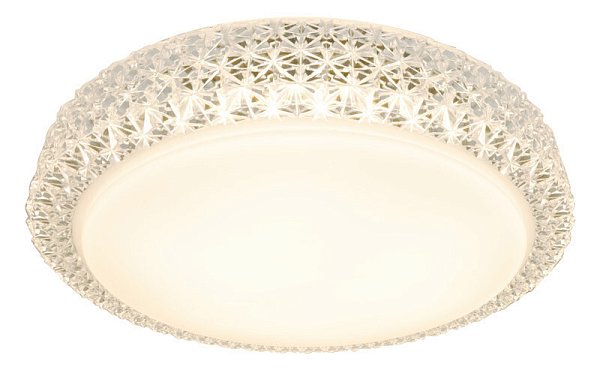 Накладной светильник Arte Lamp A1569PL-1CL
