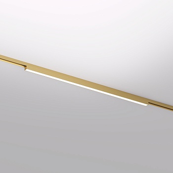 Светильник на шине Denkirs DK5752-SB