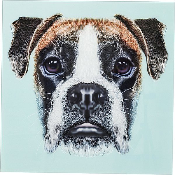 Картина Dog Face 60397 KARE