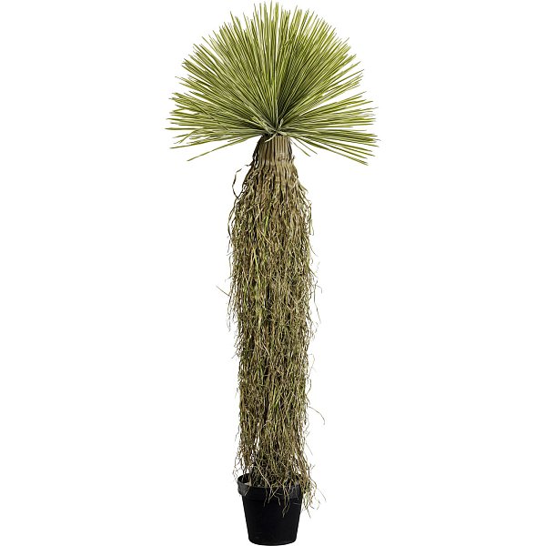 Растение декоративное Yucca 180 см KARE 55919