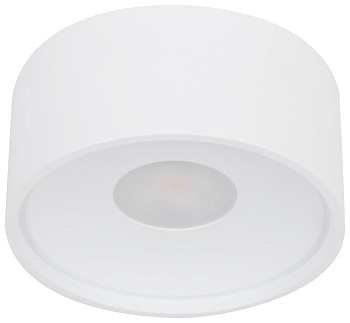 Влагозащищенный светильник WERTMARK WTA.O01.007.30.18