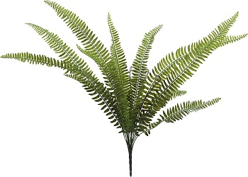 Растение декоративное Папоротник Glasar SA11654