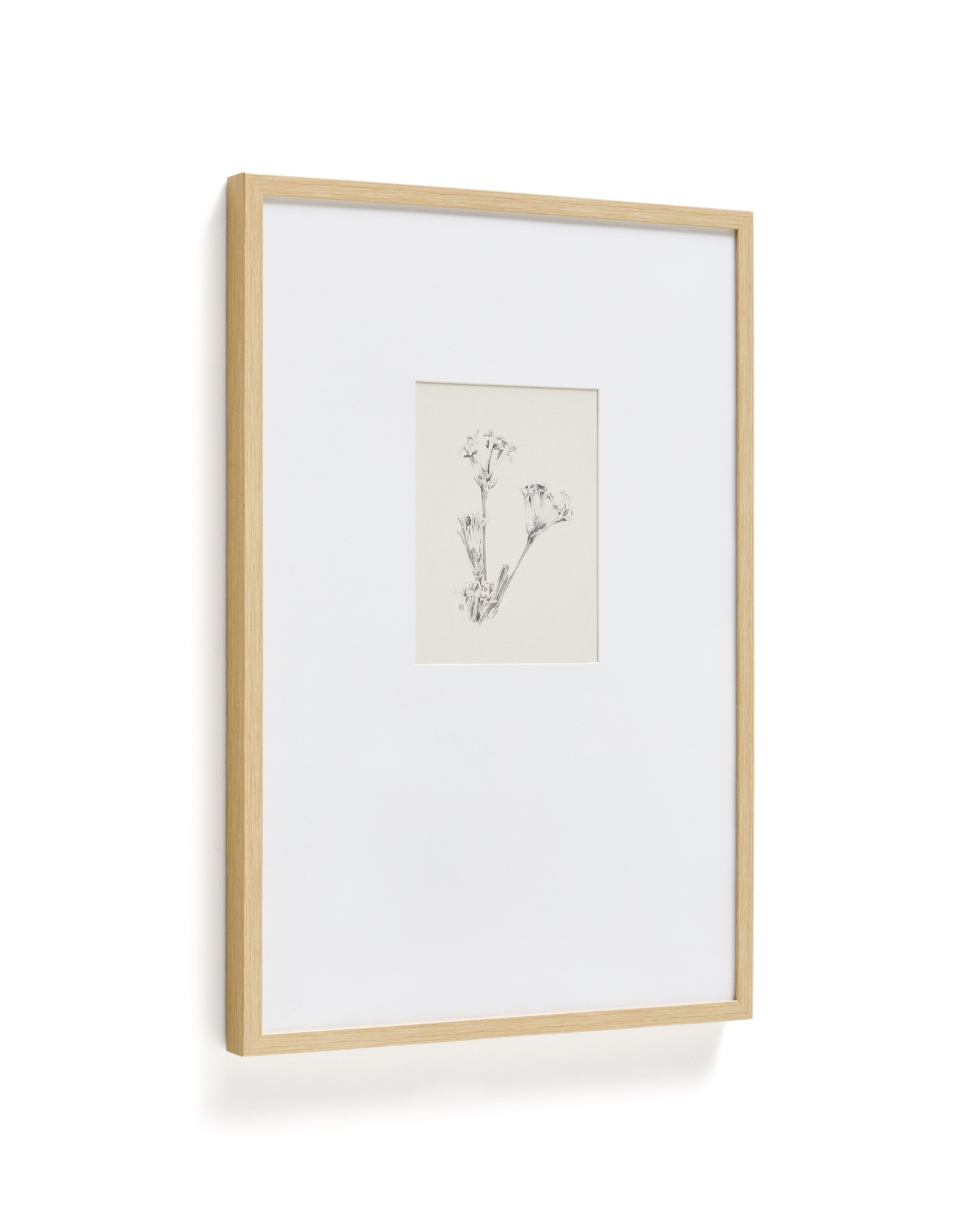 Картина Lirena с ботанической иллюстрацией 70 x 50 см La Forma (ex Julia Grup)