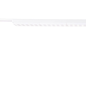 Светильник на шине Favourite 4140-2C