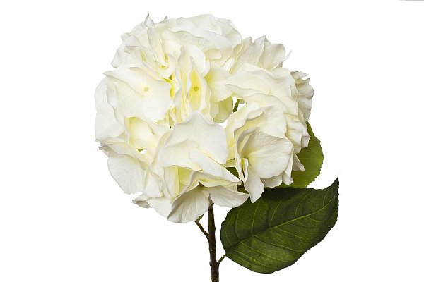 Гортензия белая Garda Decor 9F28060MK-1538