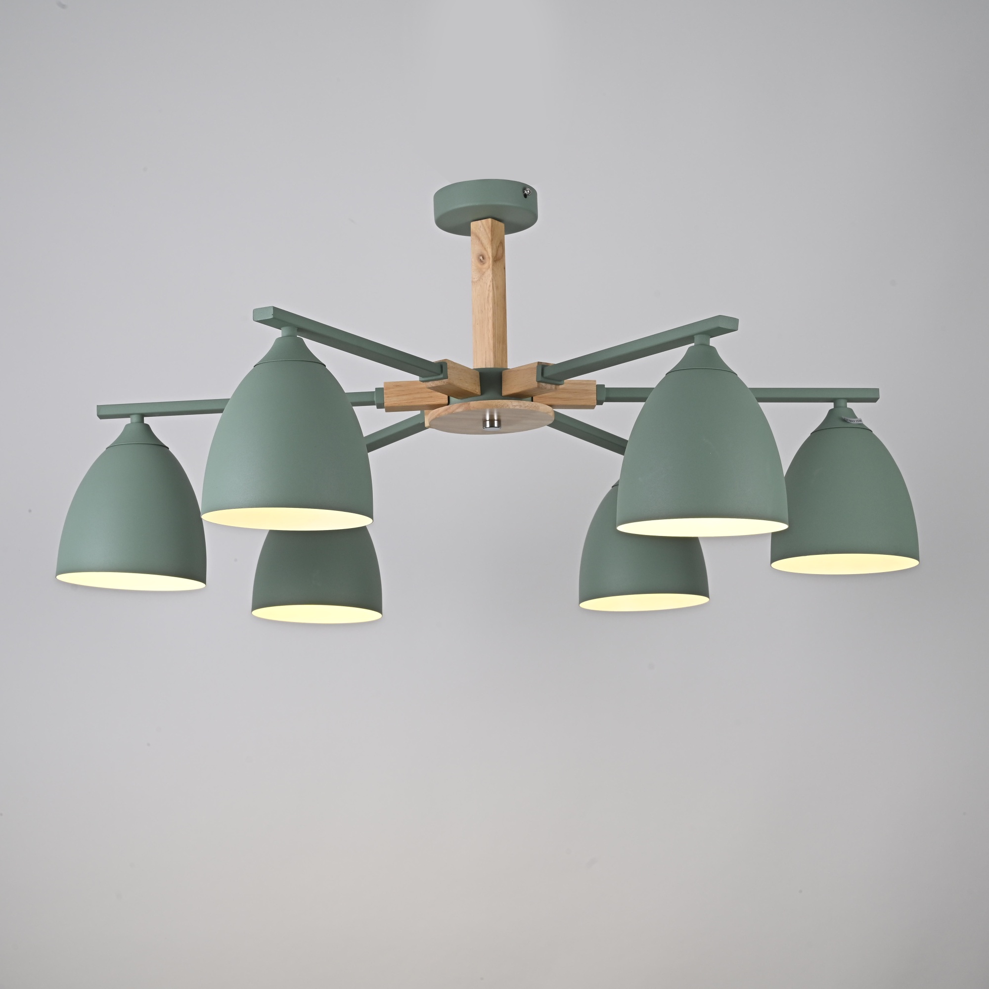 Потолочная люстра NOA 6 Mint by ImperiumLoft