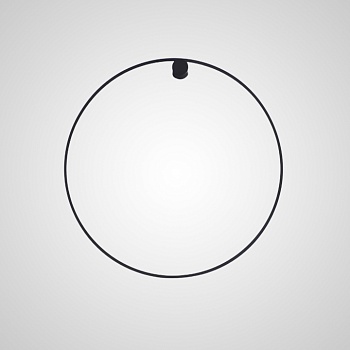 Настенный светильник WILD RING A D50 Black by ImperiumLoft