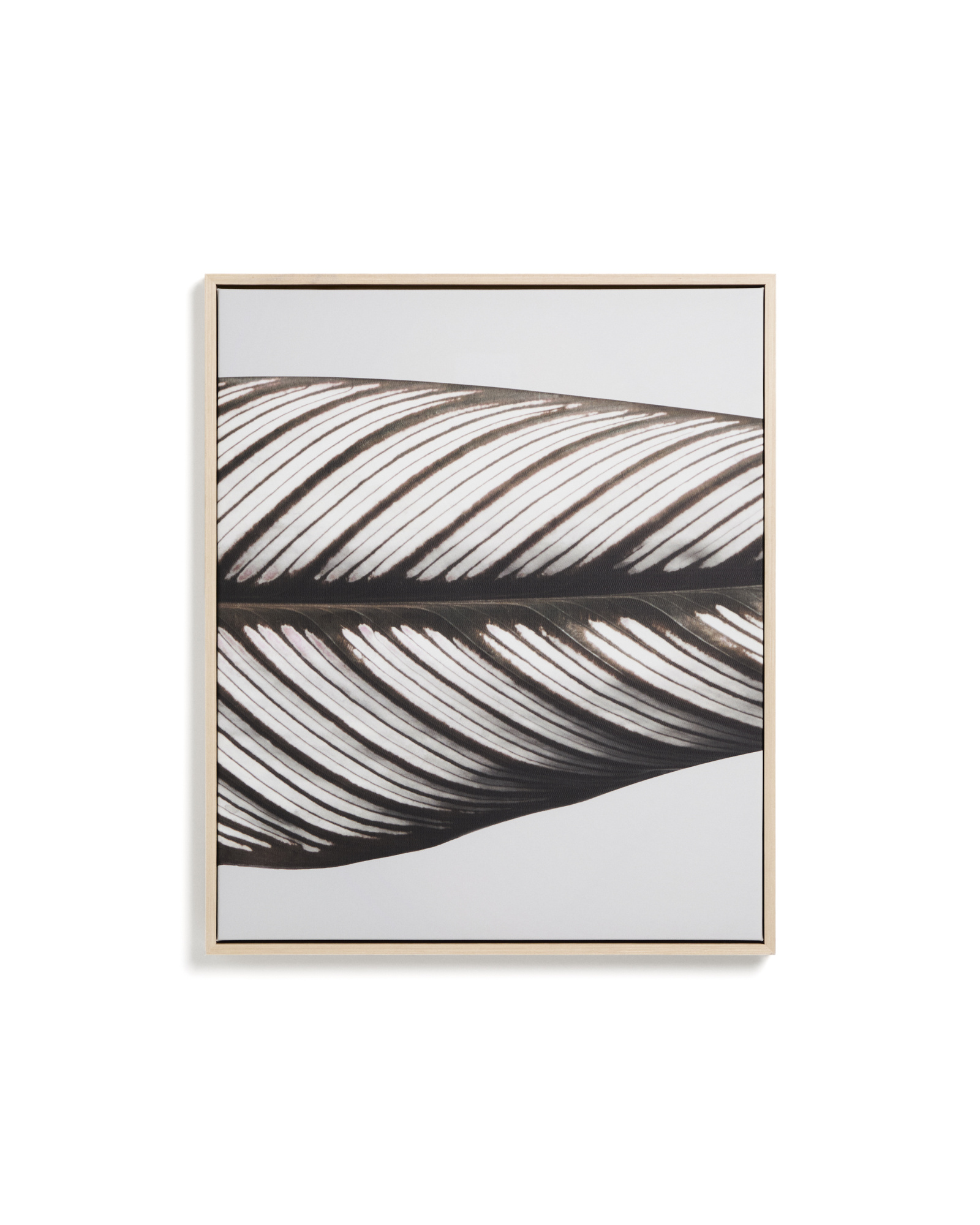 Фотография листа Foliae размер 52,5 x 62,5 см La Forma 481679