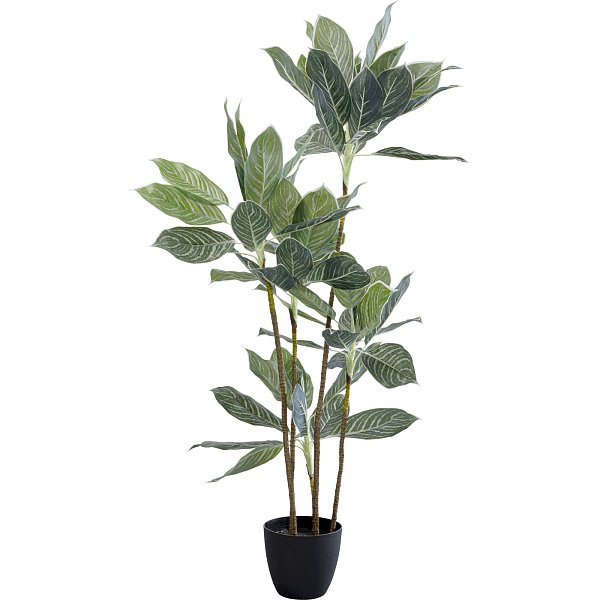 Растение декоративное Calathea 140 см KARE 55914