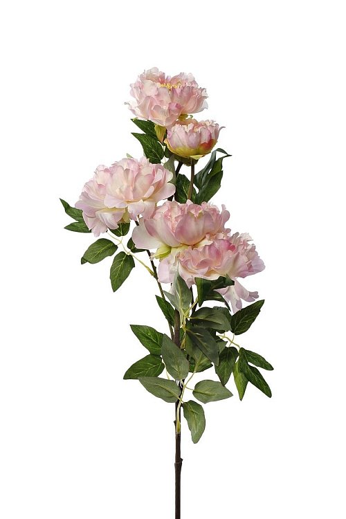 Пион кустовой розовый Garda Decor 9F28514-5240