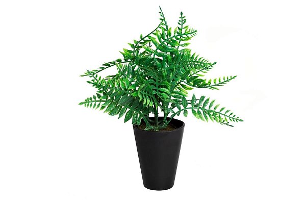 Папоротник в горшке Garda Decor 8J-18CK0018