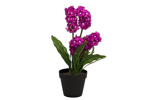 Гиацинт фиолетовый в горшке Garda Decor 8J-K0013/3