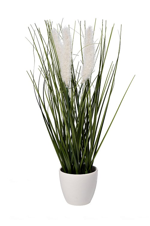 Тростник декоративный белый в горшке Garda Decor 8J-20RK0006-WH