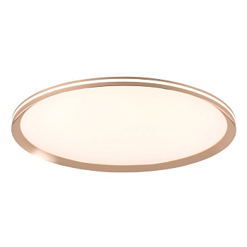 Накладной светильник LED4U L3020-600 GD