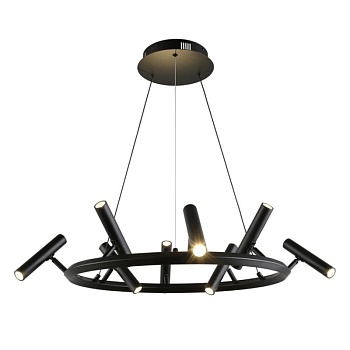 Подвесная люстра APLOYT APL.067.03.40