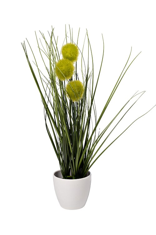 Алиум зеленый в горшке Garda Decor 8J-20RK0005-GR