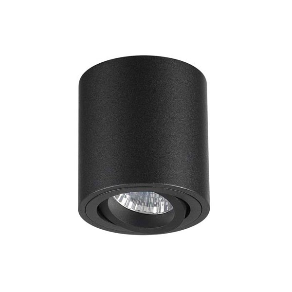 Потолочный накладной светильник Odeon Light 3568/1C
