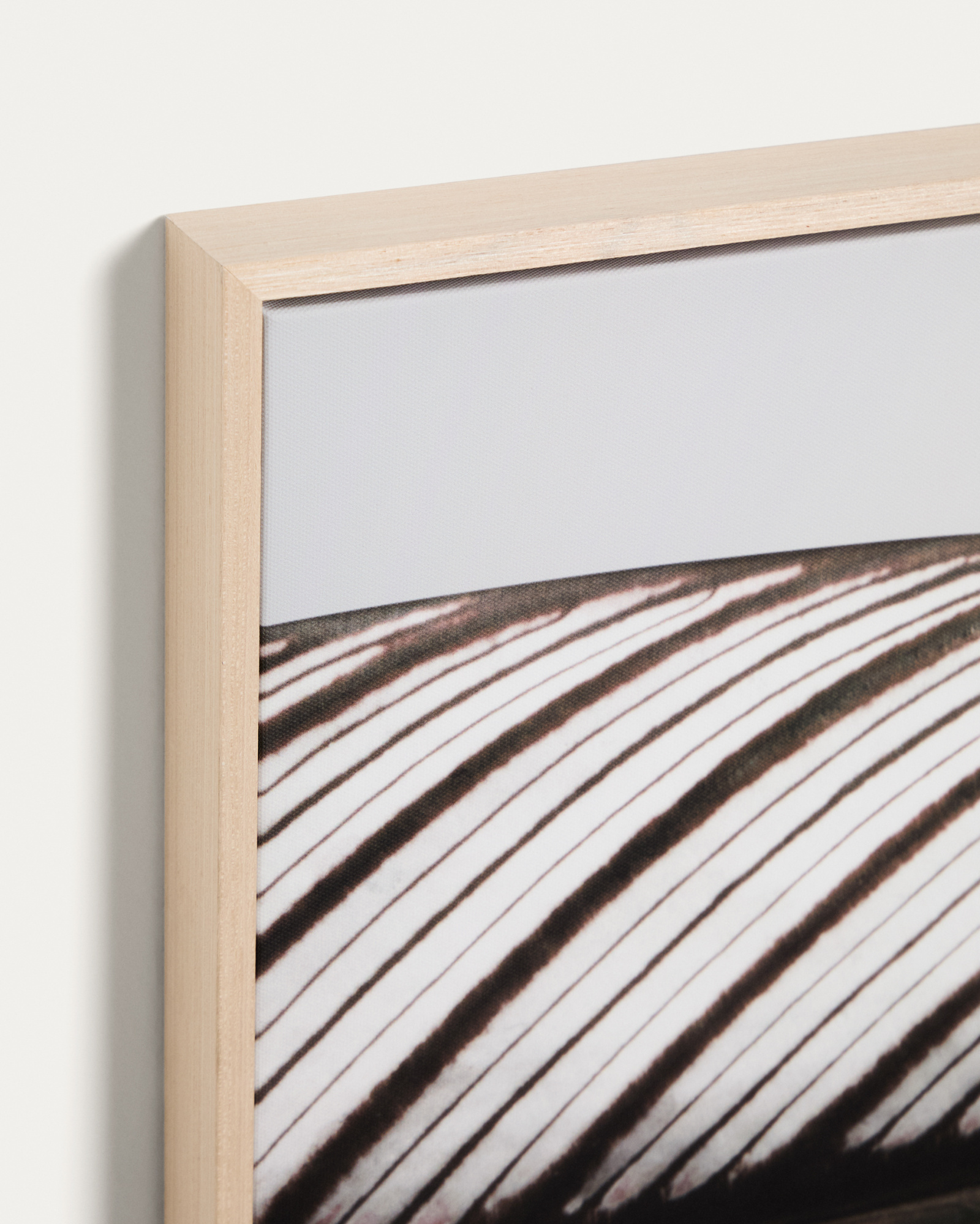 Фотография листа Foliae размер 52,5 x 62,5 см La Forma 481679