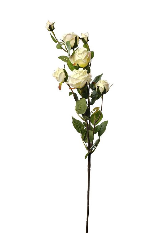 Роза кустовая белая Garda Decor 9F27994-4269
