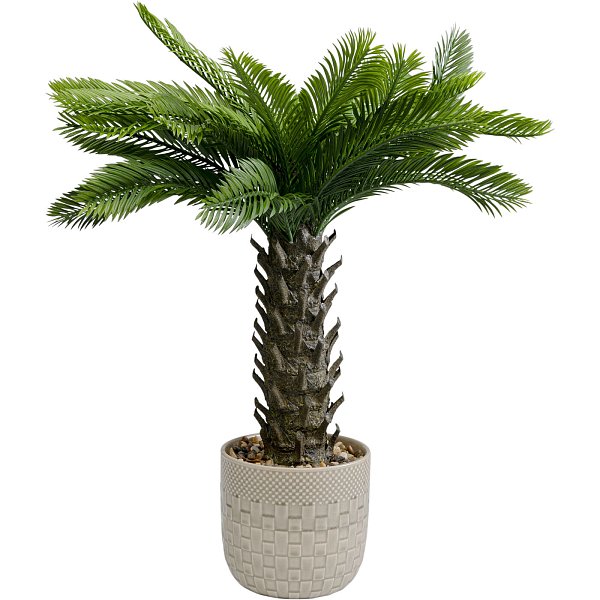 Растение декоративное Cycas 70 см KARE 55918