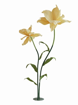 Растение декоративное Ирис Glasar F98621