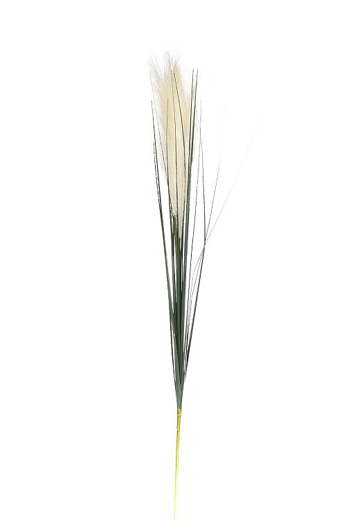 Камыш травянистый белый Garda Decor 8J-14AB0002