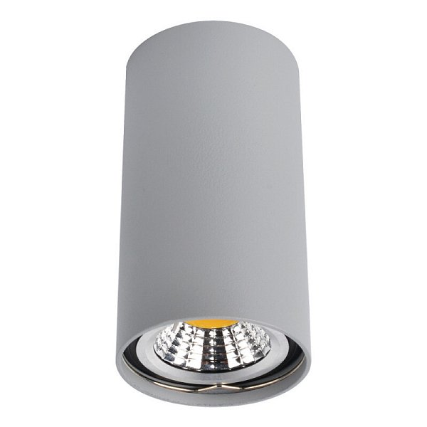 Накладной светильник Arte Lamp A1516PL-1GY