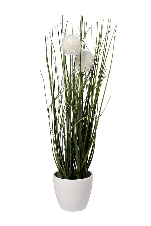 Алиум белый в горшке Garda Decor 8J-20RK0005-WH