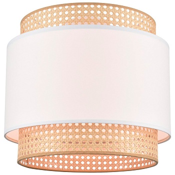 Накладной светильник VELANTE 565-717-01