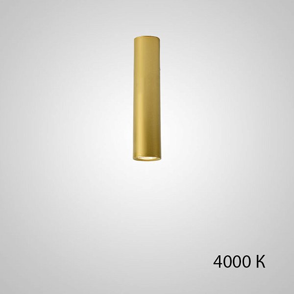 Точечный светильник PAN H20 Gold 4000 К by ImperiumLoft