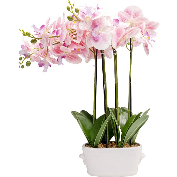 Растение декоративное Orchid Pod 55cm KARE 58350