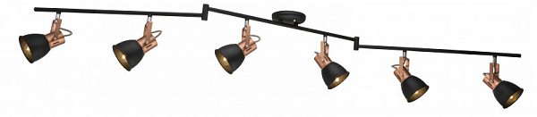 Спот Arte Lamp A1677PL-6BK