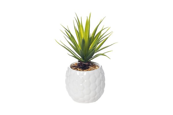 Суккулент в белом горшке Garda Decor 8J-5284 WH
