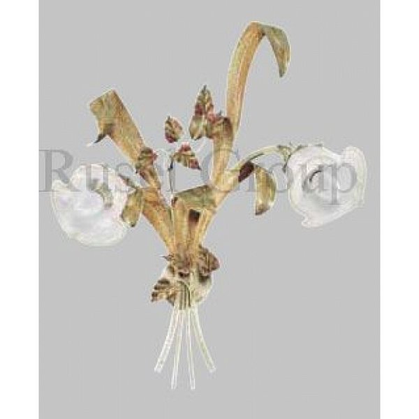 Настенный светильник Florenz Lamp 2045.02P