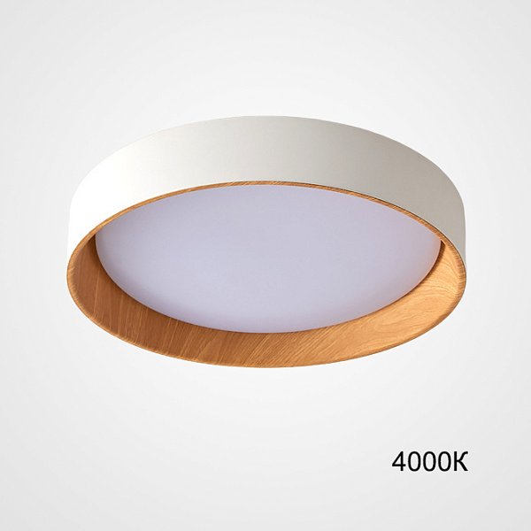 Потолочный светильник WENNY D35 4000К by ImperiumLoft