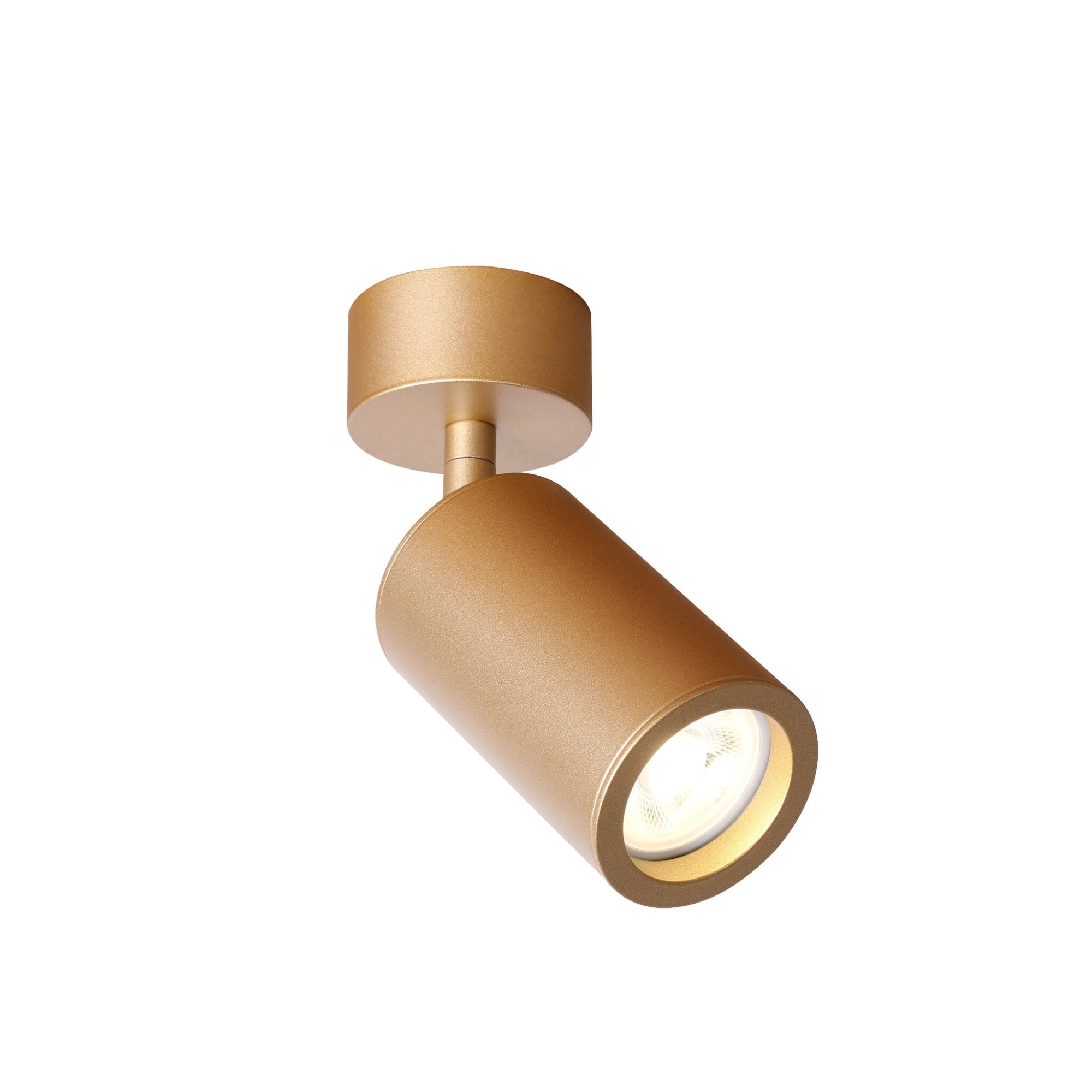 Потолочный светильник Favourite 2802-1U