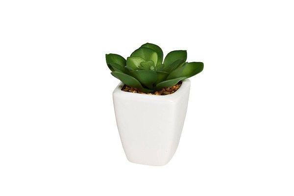 Суккулент в горшке Garda Decor 8J-1735381