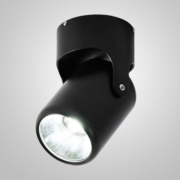 Потолочный светильник FUN D90 Black by ImperiumLoft
