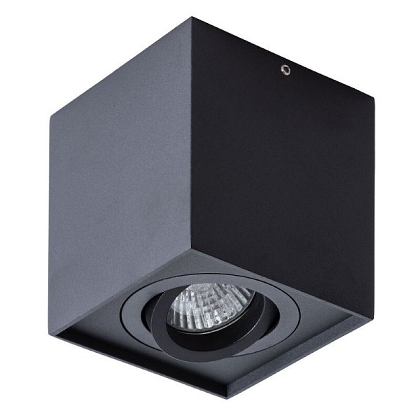 Накладной светильник Arte Lamp A5544PL-1BK