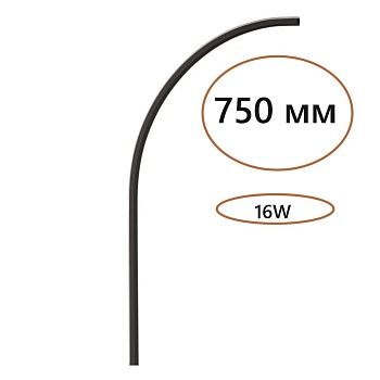 Настенный светильник Odeon Light 7006/100A