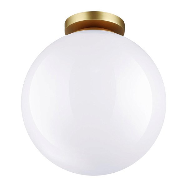 Потолочный накладной светильник Odeon Light 4249/1C