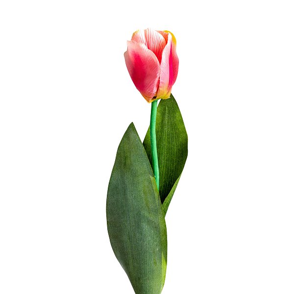 Цветок TULIPAN в розовом цвете Vical