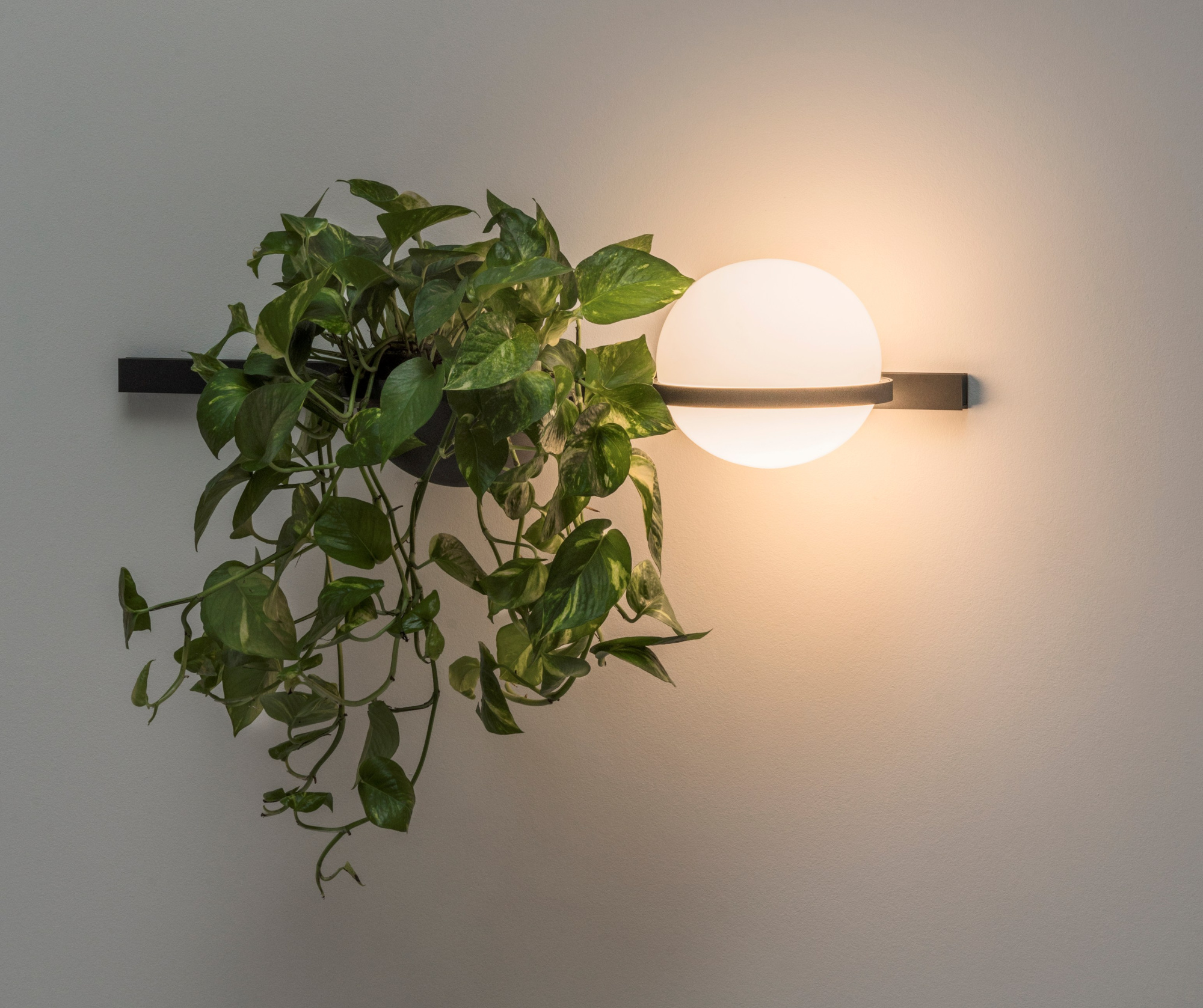 Бра Palma Wall Lamp 1 Шар By Imperiumloft