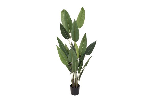 Куст Стрелиции в горшке Garda Decor 318000760