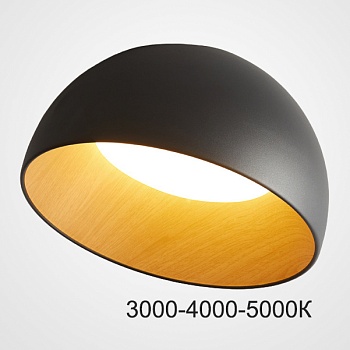 Потолочный светильник BARA A D50 Black Трехцветный свет by ImperiumLoft